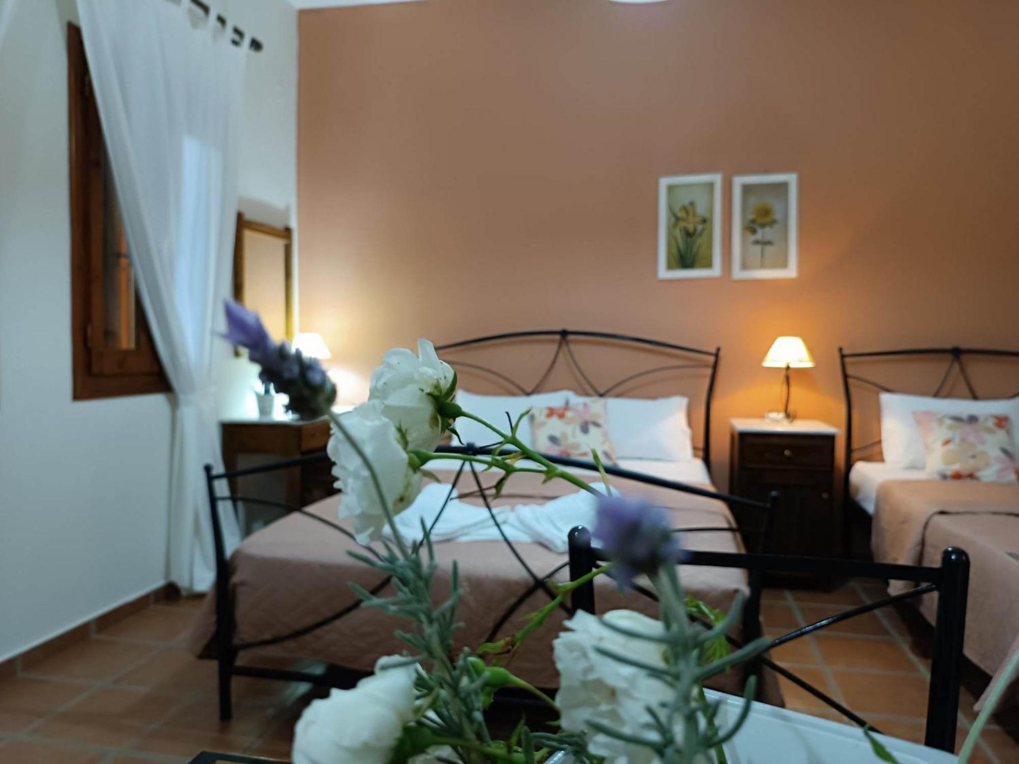 Katikies Stamatias Studios & Maisonettes Agnontas Екстериор снимка
