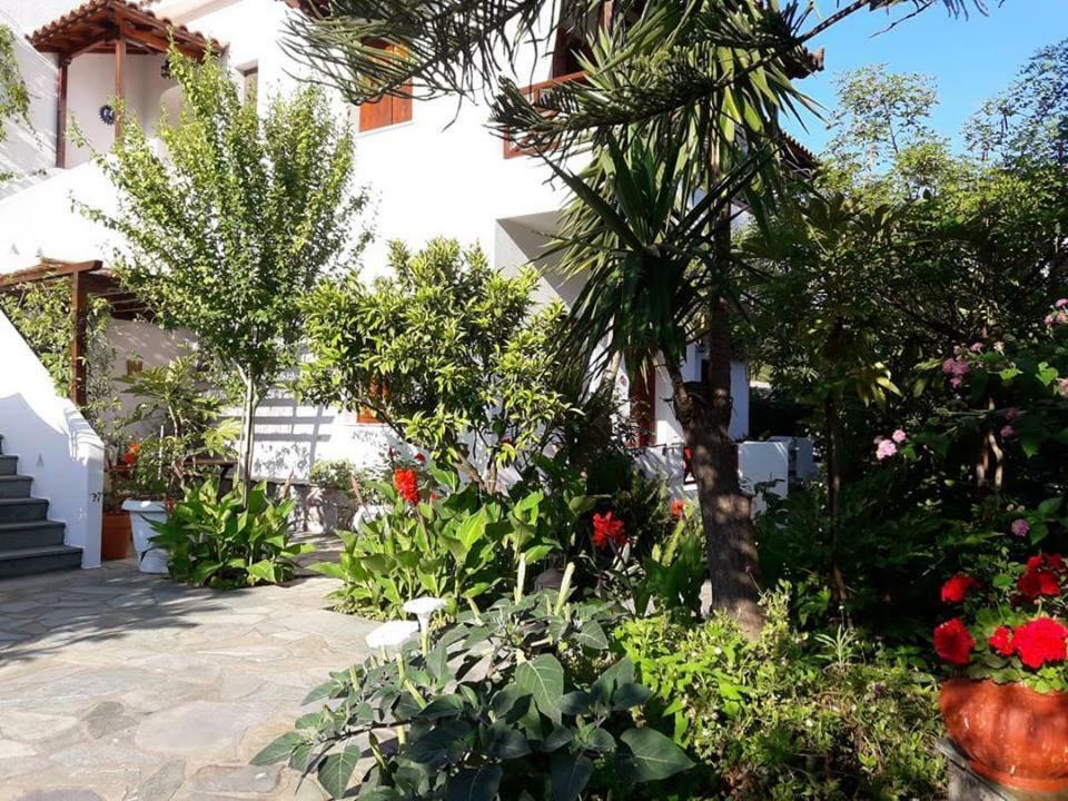Katikies Stamatias Studios & Maisonettes Agnontas Екстериор снимка